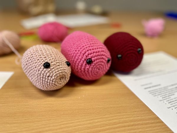 Zdjęcie Październikowe warsztaty szydełkowania 2025